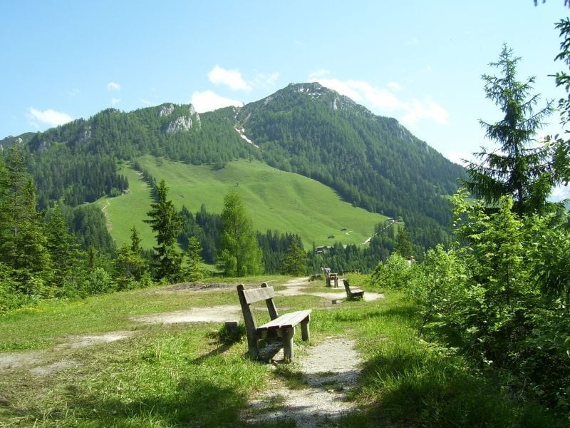 Schwöb - Stufenweg Krautkasergraben - Brandkopf - Gasthof Vorderbrand - um den Brandkopf zurück