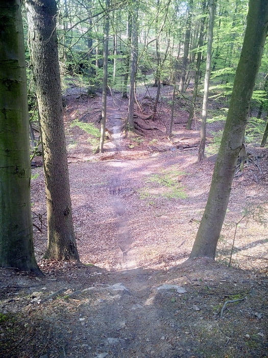 DSMTBV Deister Wennigser Annaturm Ecke 1  Ladies only Farnweg Blaubär