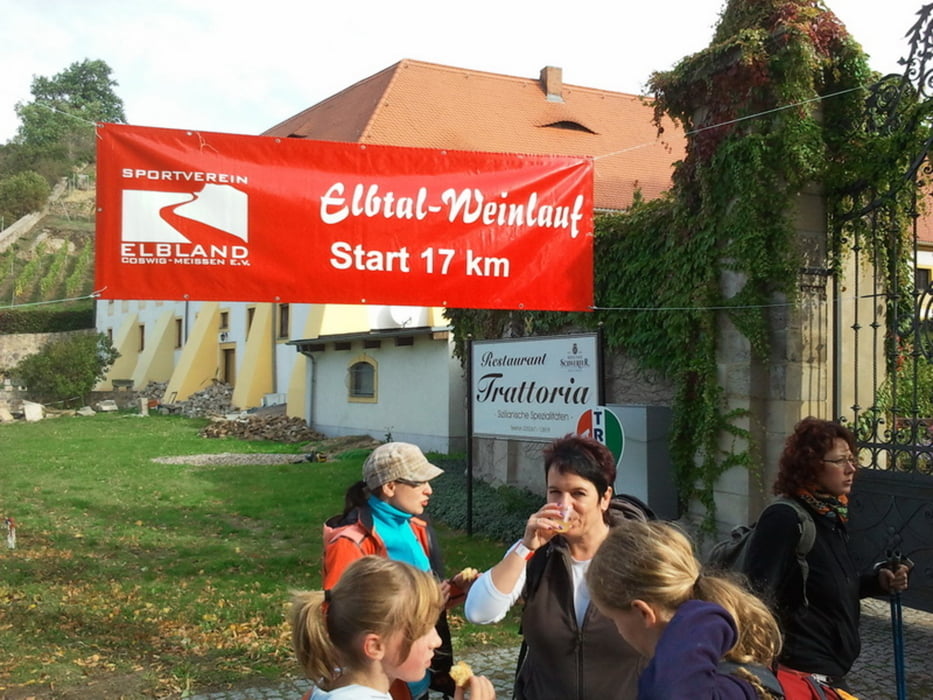 Elbtal-Weinlauf 2012