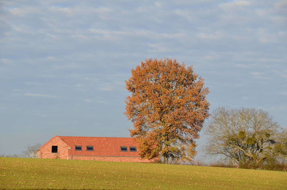 Natuurgebied Eggertingen