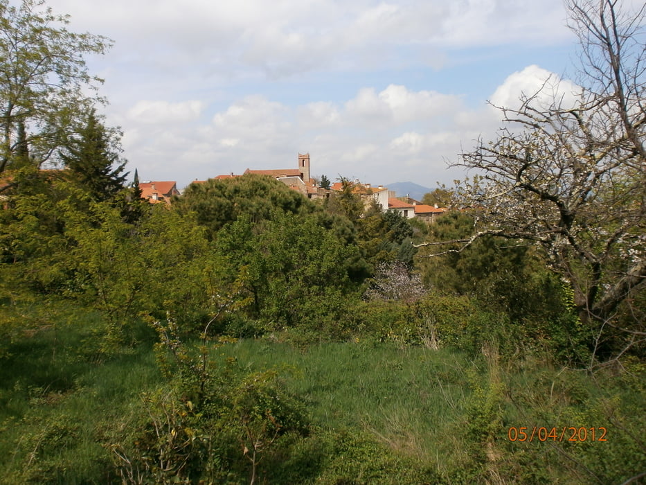 Castelnou - Camelas - Chapelle St Martin