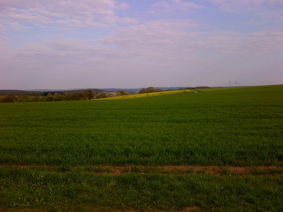 Mainhöhen um Hasselberg