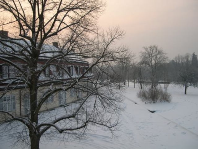 Winterlicher Lauf Bärenschlössle - Solitude