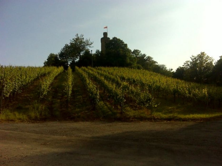 Tour de Heuchelberg