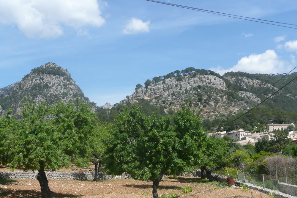 Mallorca Tag 5