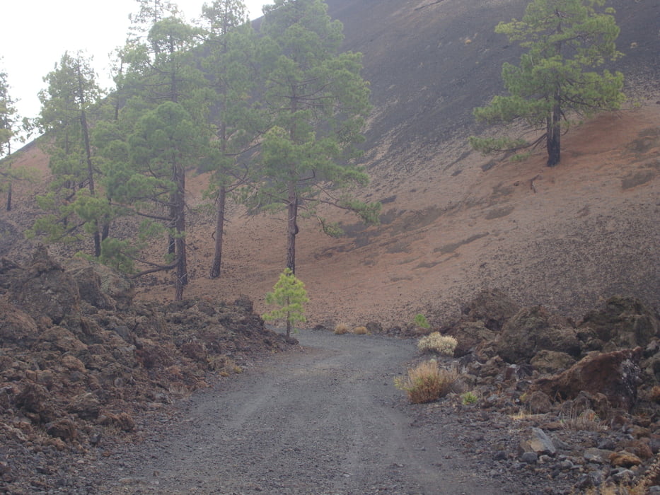 Teneriffa Tag7 Santiago del Teide-Los Cristianos