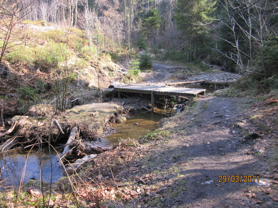 entlang der Wildbäche Ghaster und Bayehon zur Burg Reinhardstein (Ardennen)