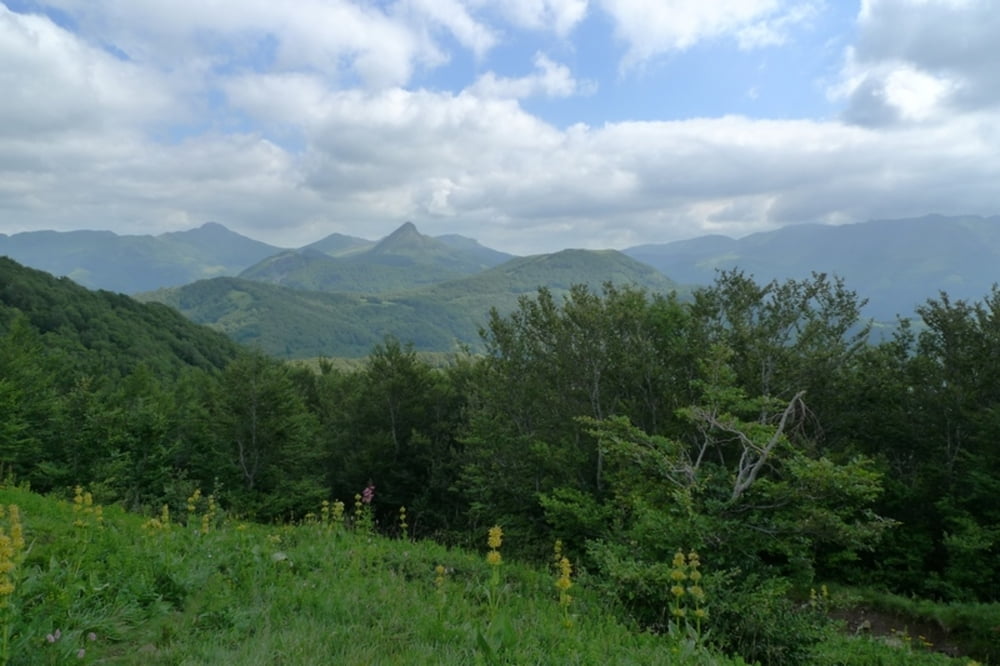 Col du Pertus - l'Elanceze - Puy de la Poche - Col du Pertus
