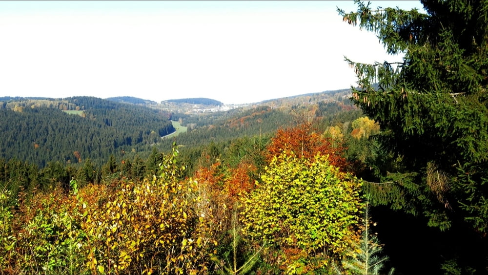 Wandern Bayerischer Wald: nach St.Englmar von Rettenbach