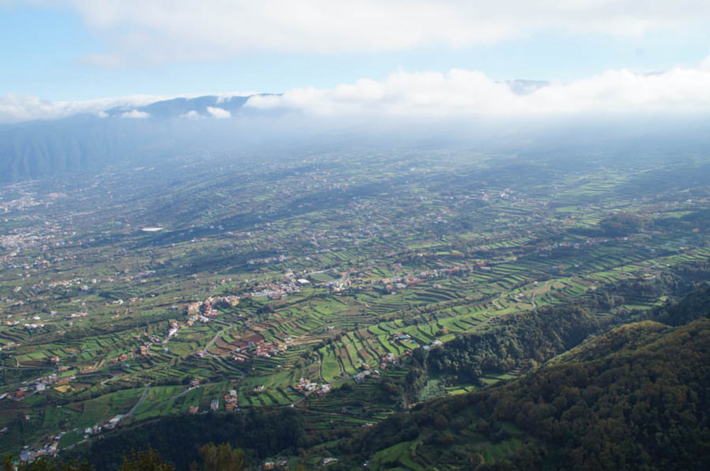 Realejo Alto Flowtrails