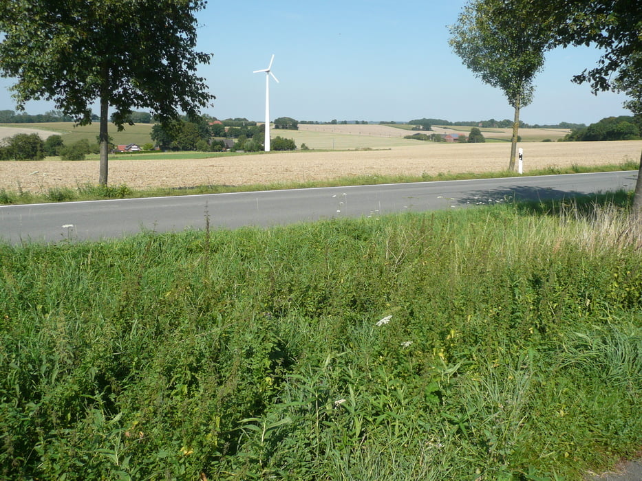 Baumberge
