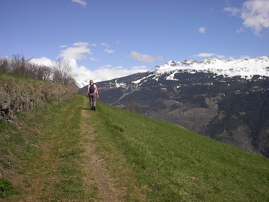 Panoramawandeling 