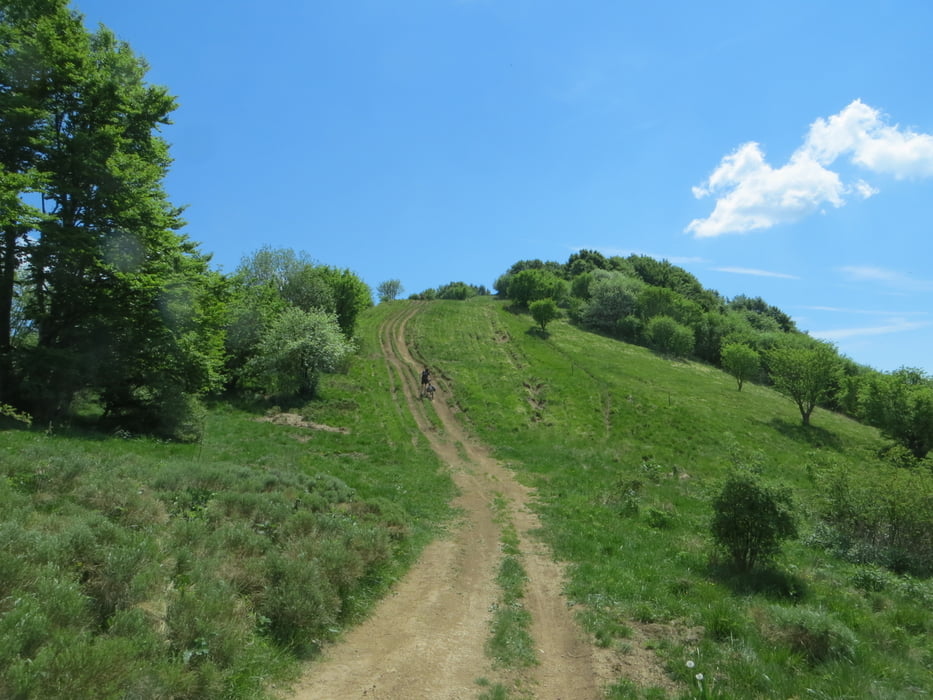 Lago di Varese - Pavia - Varzi - Antola - Chiavari - Deiva (Via del Sale)