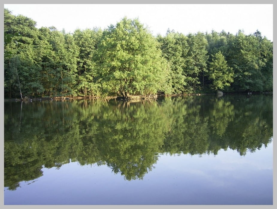 Kirchheide>Kleeberg>Stadtwald Lemgo>zurück