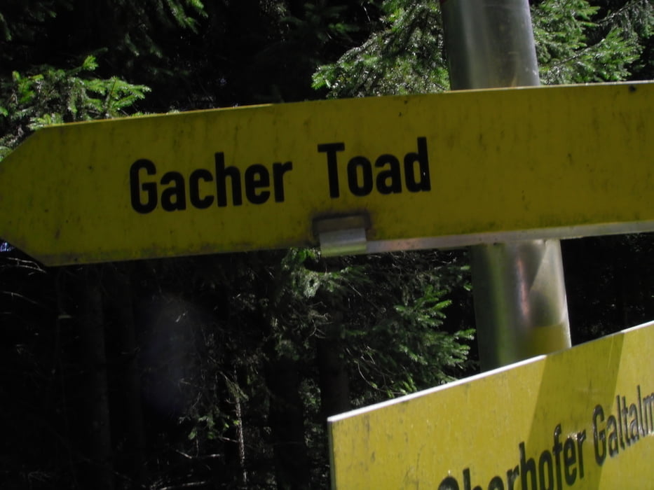 Gacher Toad & Höll