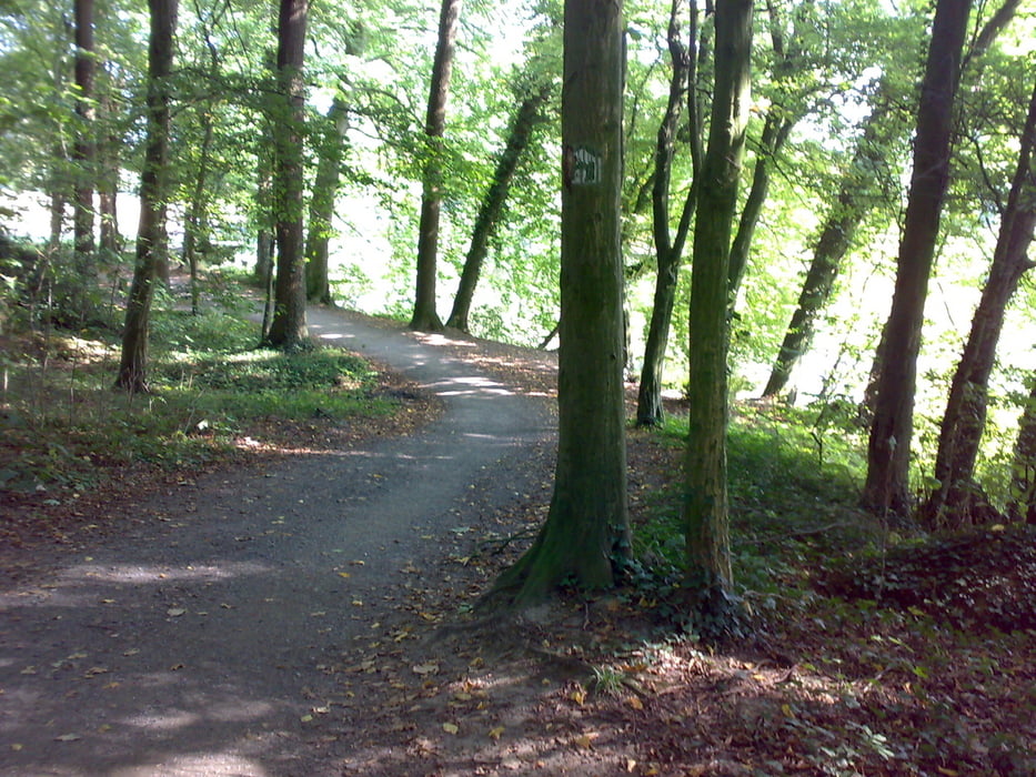 Werse Rad Weg