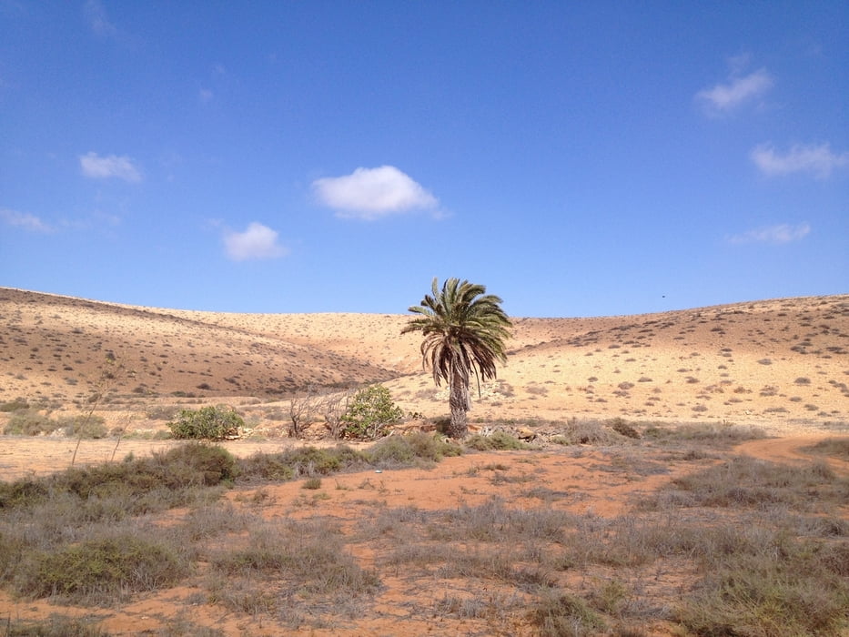 Fuerteventura - Rundweg bei Pajara