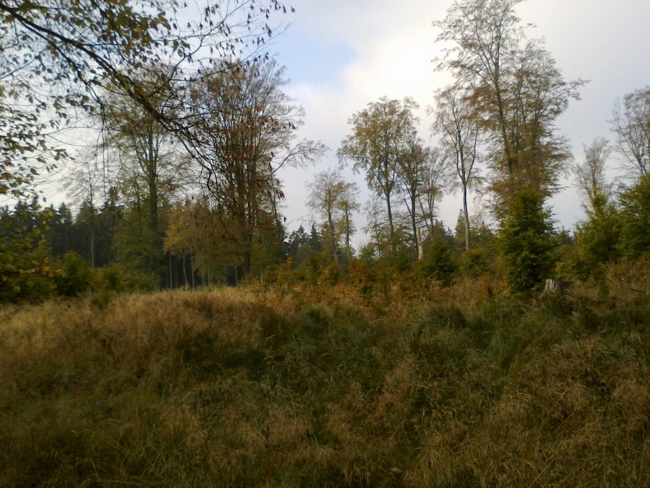 Durch das Schleidtal zum Decke Tönnes