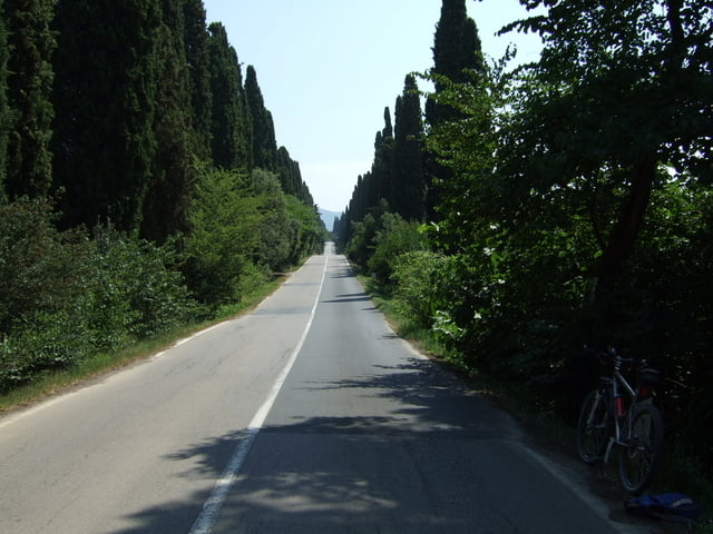 Bolgheri