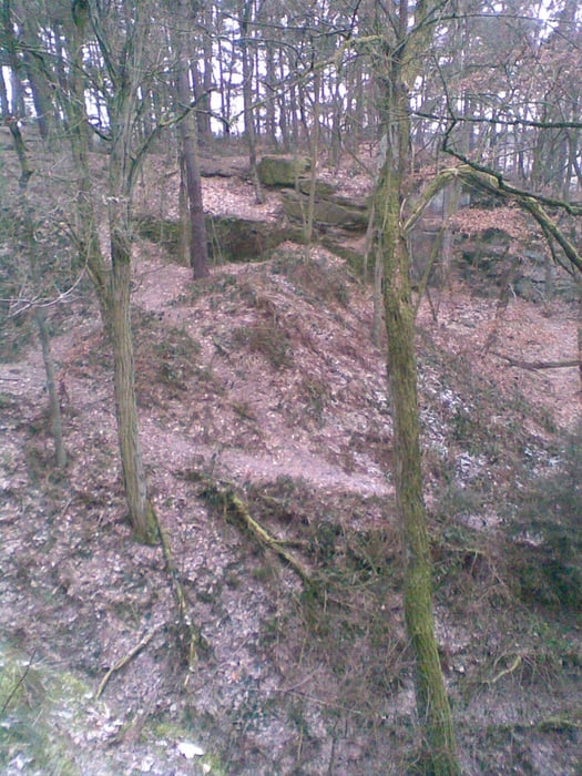 Fürther Stadtwald Feierabendrunde