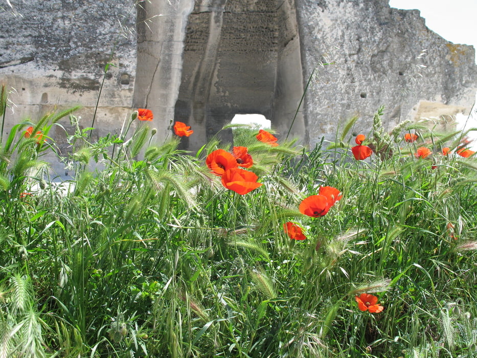 Rundtour Provence-Camargue