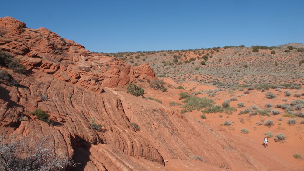 Coyote Buttes North - The Wave