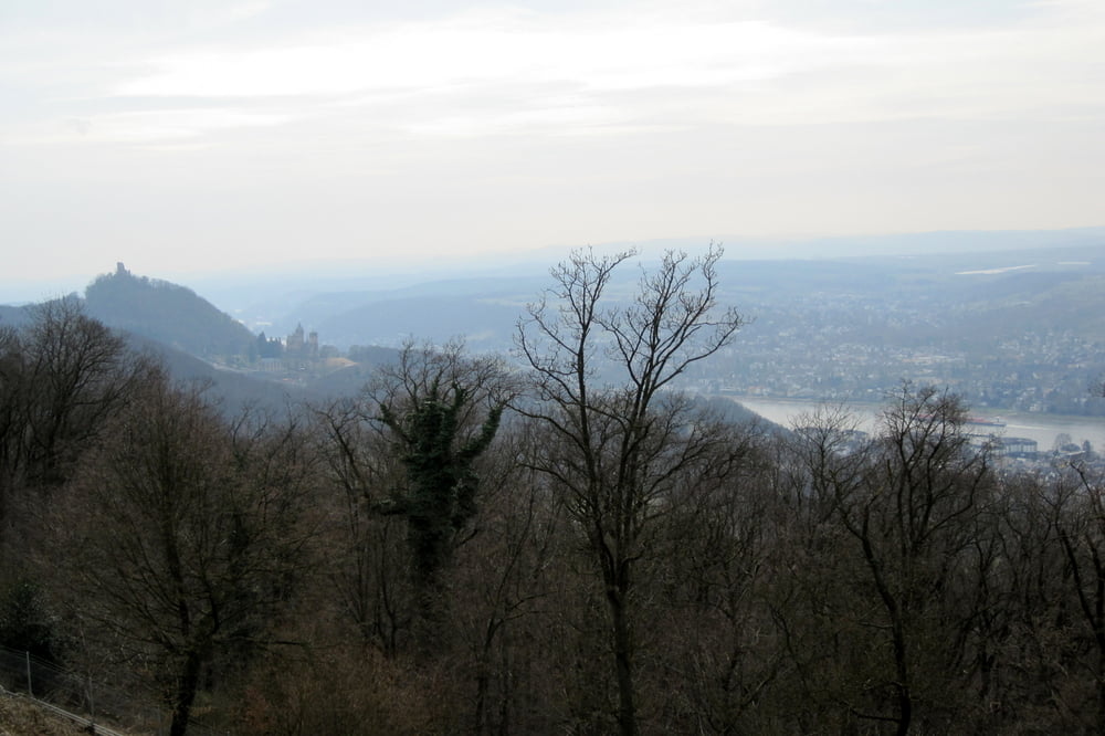 110312 Siebengebirge: Oberkassel - Bad Honnef
