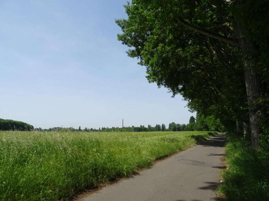 Von Dietesheim nach Offenbach am Main entlang