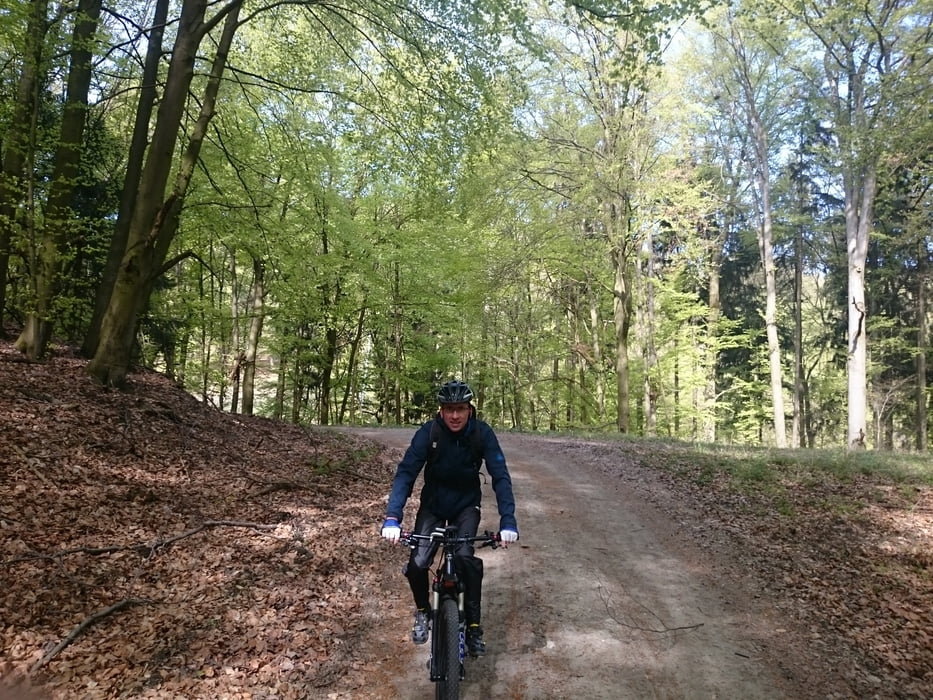 Kürnberg Gipfel > e-mtb