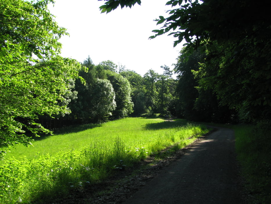 Bad Honnef - Leyberg - Himmerich
