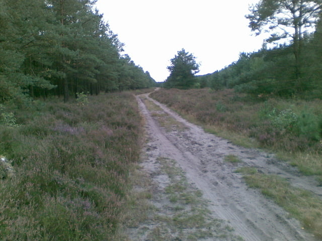MTB in der Heide á 52km