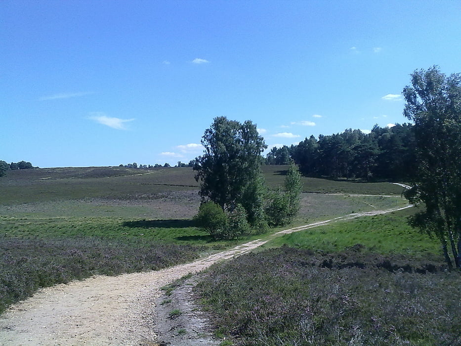 Von Buxtehude in die Fischbecker Heide
