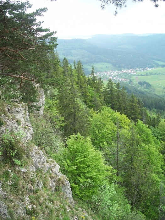 Tour auf der Schwäbischen Alp (1 Tour)