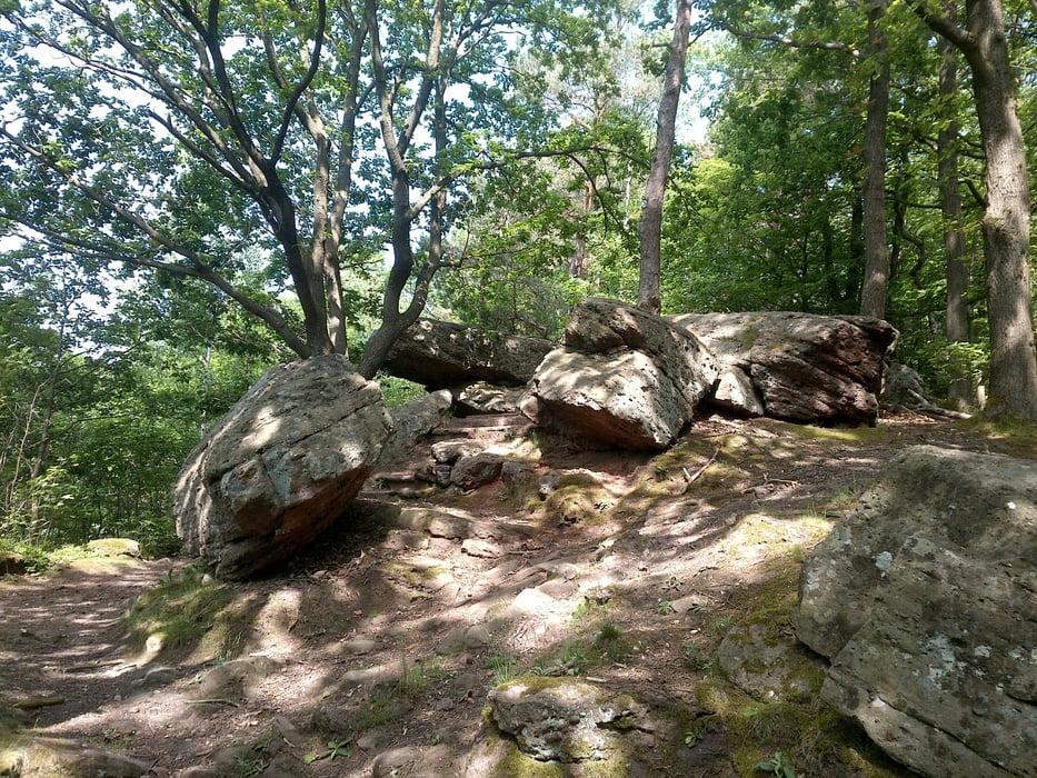 Hürtgenwald um den Hinkelstein 