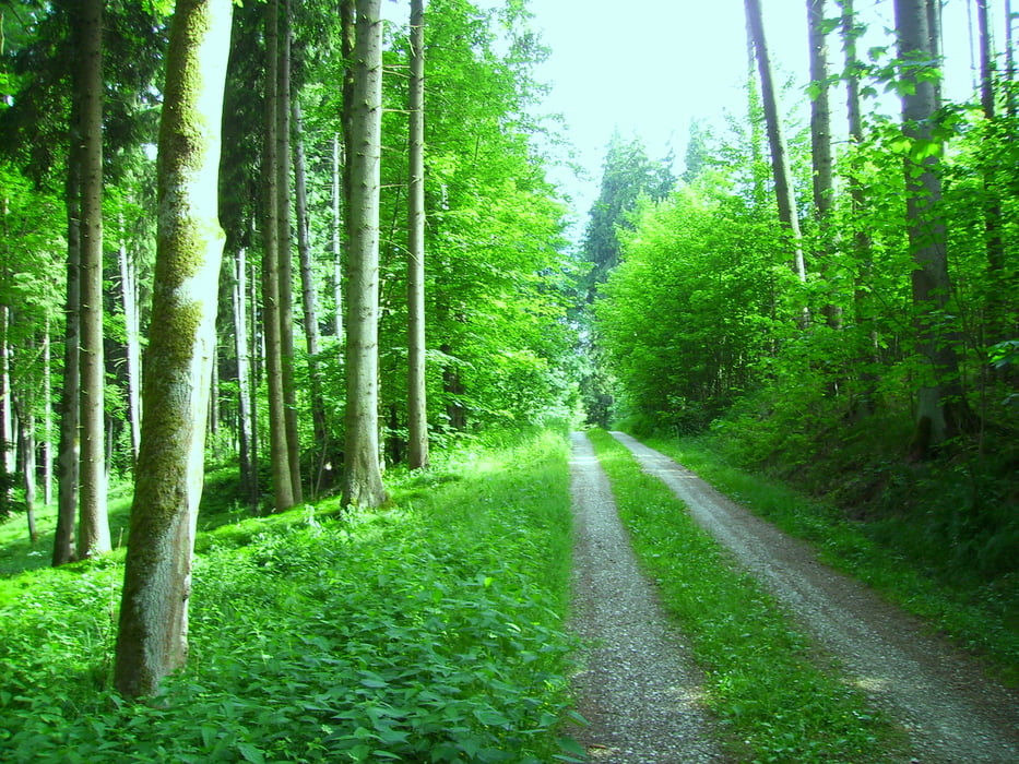 Steinberg Kirchberg 20140609