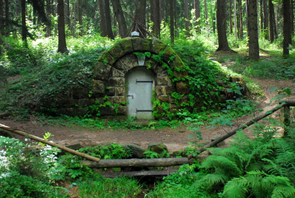 Kleine Runde im Tharandter Wald