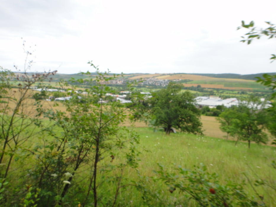 Bad Mergentheim-Großheubach 2