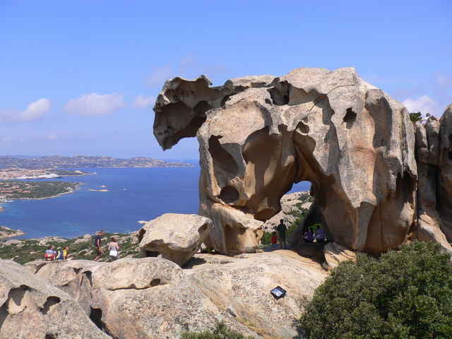 Bär bei Capo D´ Orso
