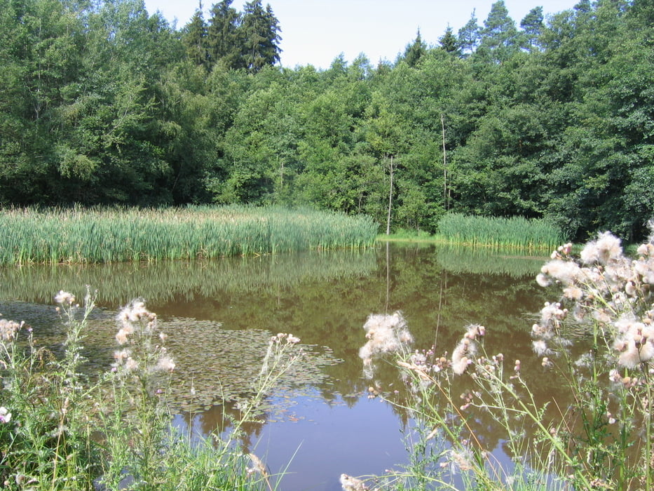Waldseentour