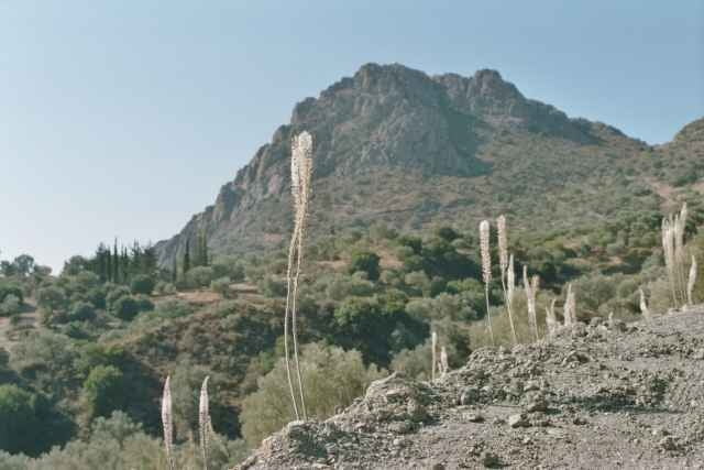 Von Grigoria nach Lagoli