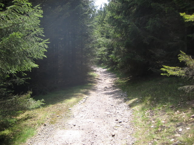 Trailselection Hochtaunus