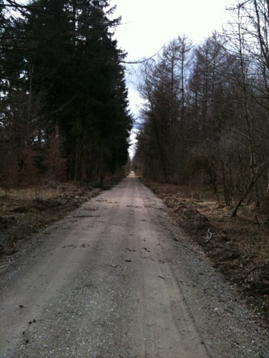 Perlacher Forst - Großdingharting - Schäftlarn - Pullach
