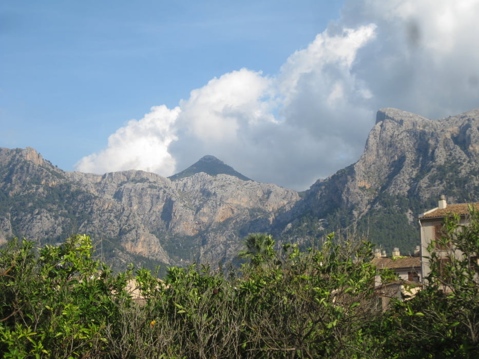 vom Cuber Stausee auf den Puig l`Ofre und zurück (Mallorca)
