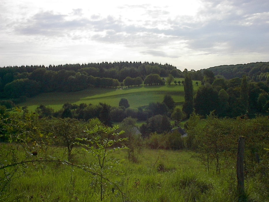Wandeling St Martin de Bienfaite