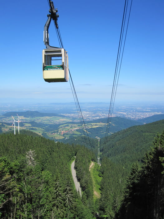 Schauinsland King mit Vorlauf