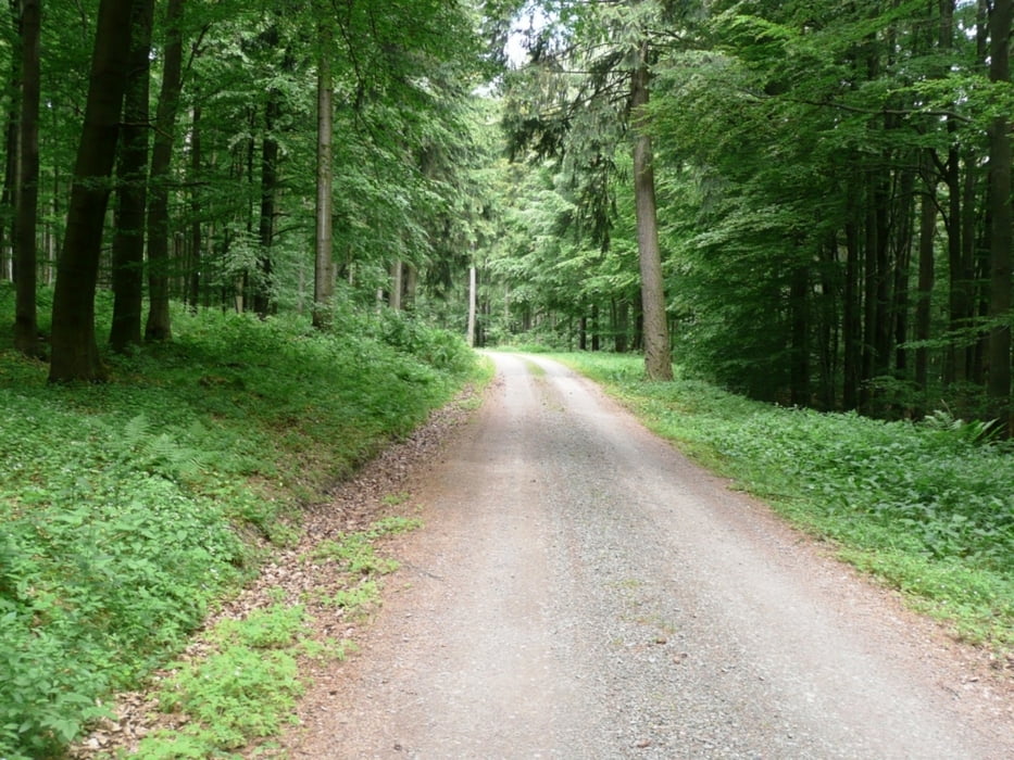 Rundwanderung Poppenberg