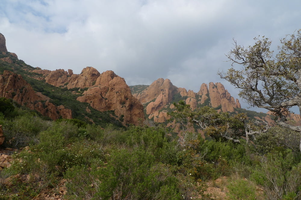 Massif de l'Esterel