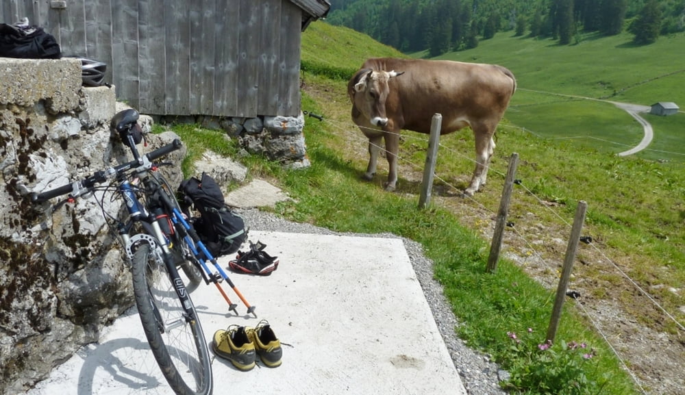 bike&berg Mellau