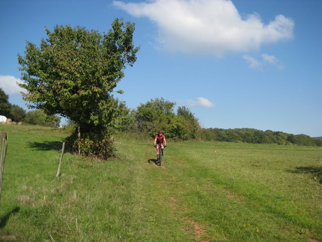Hoherodskopf und Bilstein