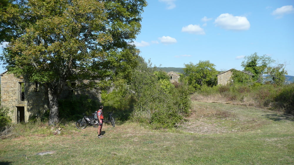 Via Tartufia